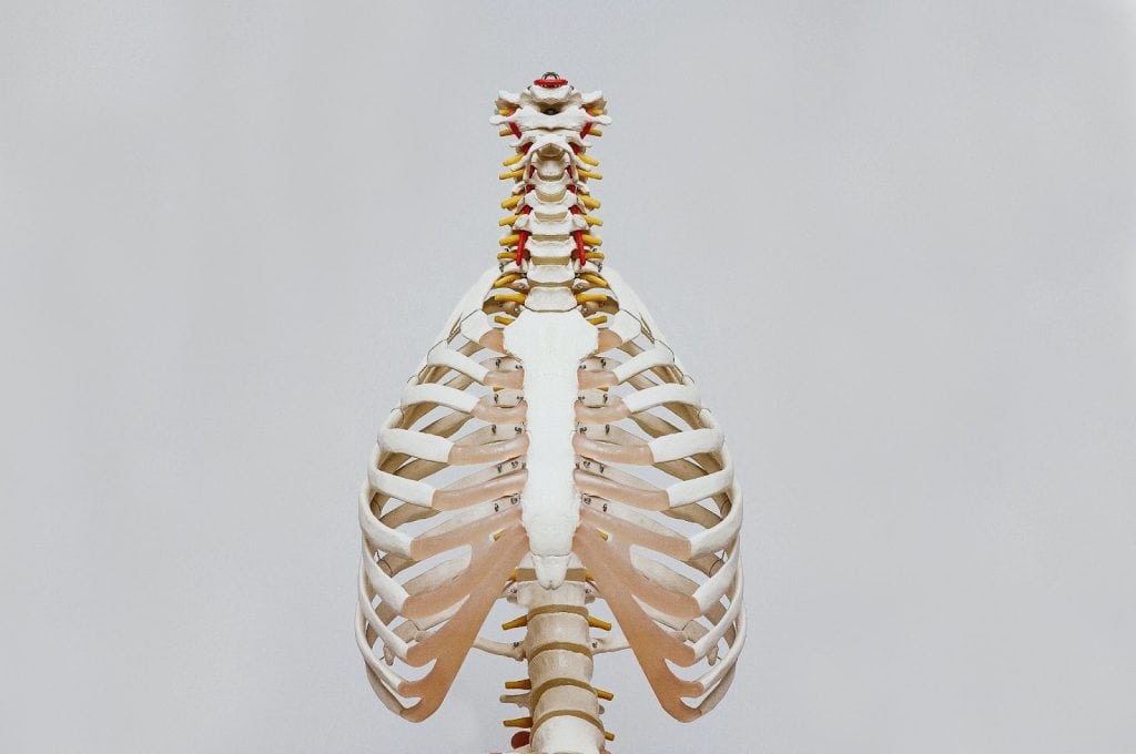 (坐骨神經痛通常是因為腰椎的椎間盤突出或是脊椎彎曲、狹窄、甚至長骨刺所致。圖片來源：Unsplash。)